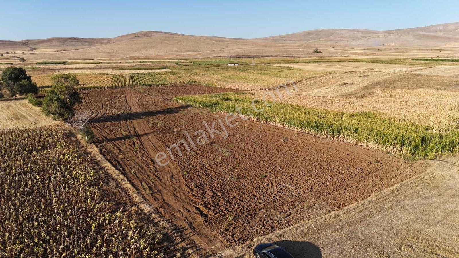 Net Emlaktan Müstakil Toplam 8.550 M2 Tarla - Görsel 21
