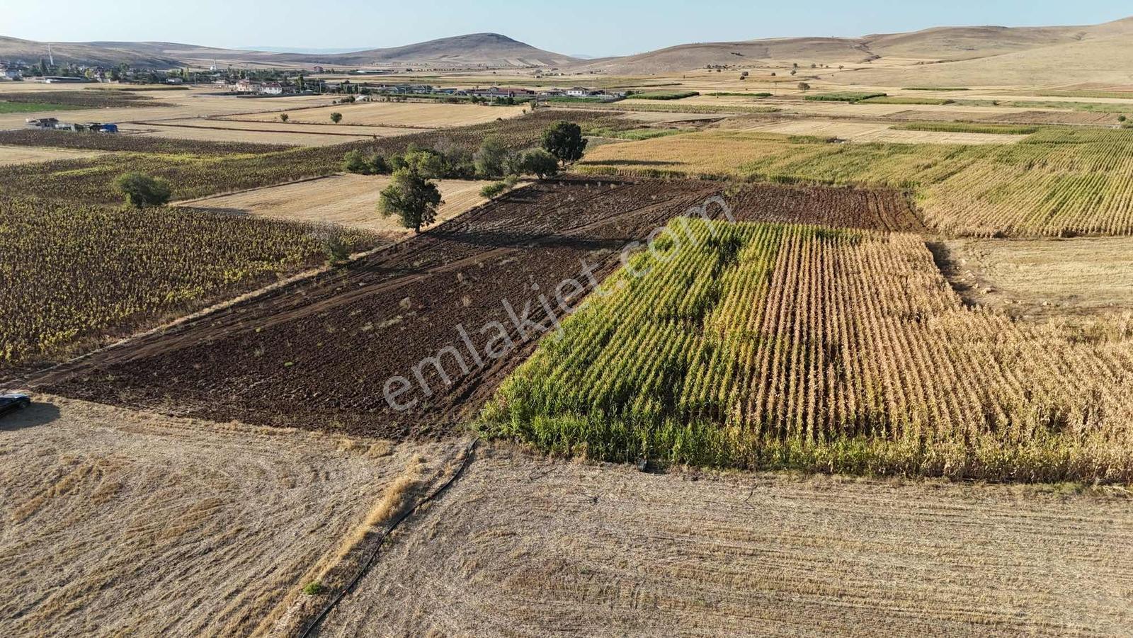 Net Emlaktan Müstakil Toplam 8.550 M2 Tarla - Görsel 19