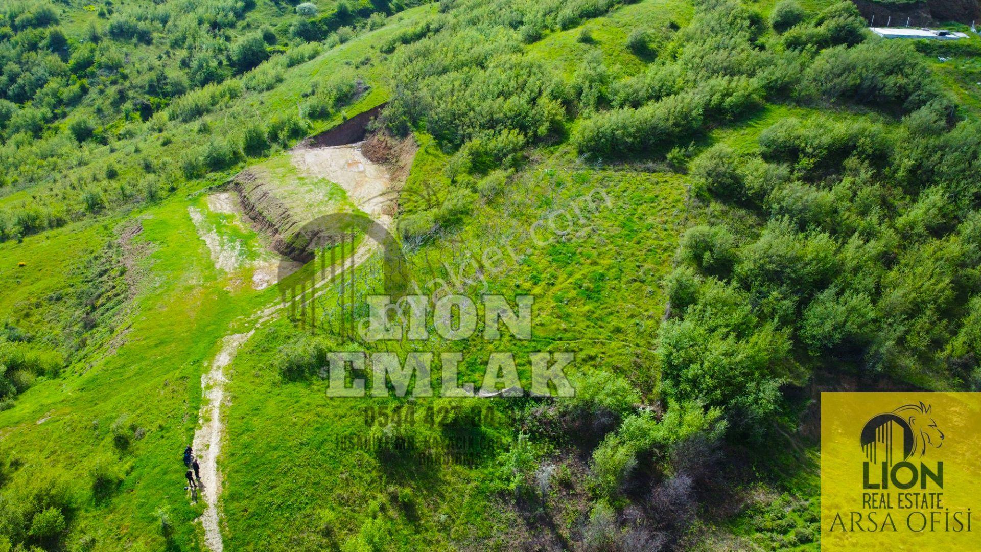 Lıon Emlak'tan Bandırma Sahil Yenice'de Deniz Manzaralı 1466 M² Fırsat Tarla - Görsel 12