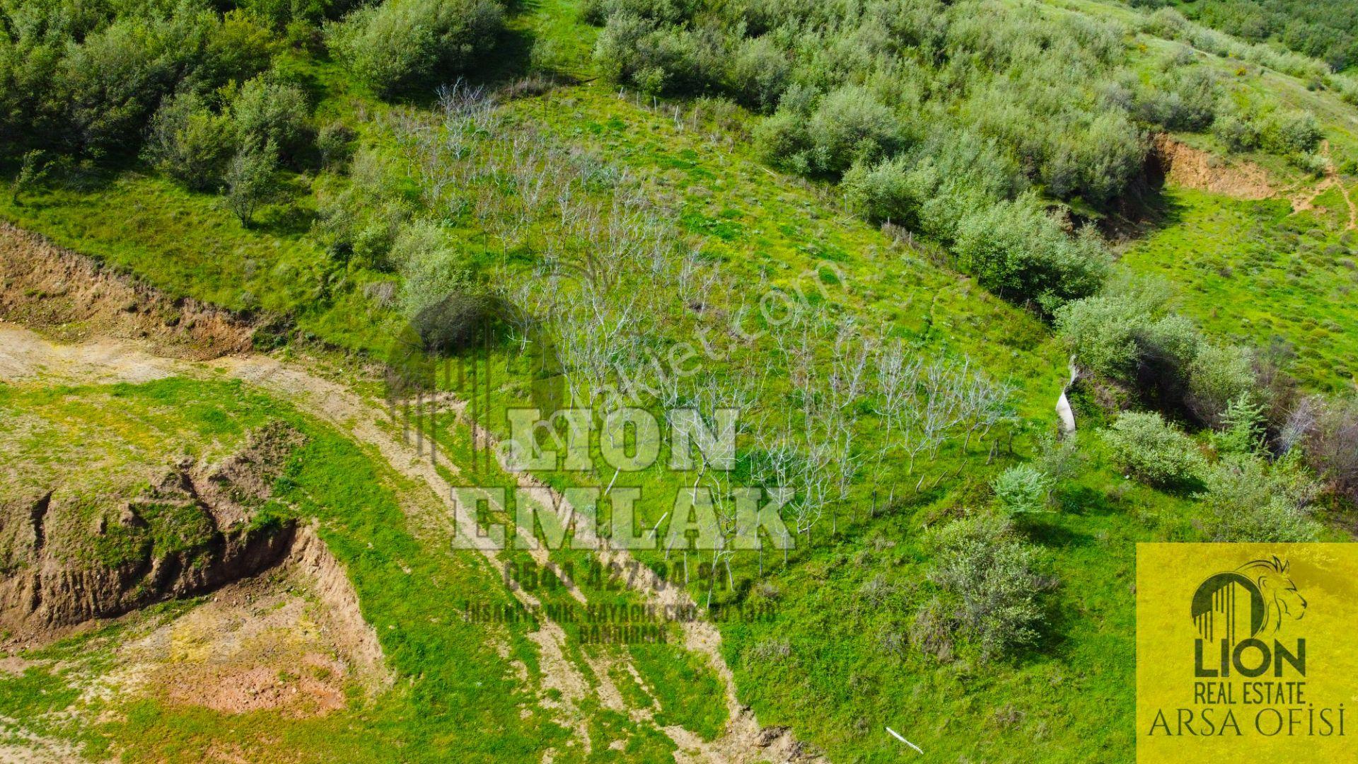 Lıon Emlak'tan Bandırma Sahil Yenice'de Deniz Manzaralı 1466 M² Fırsat Tarla - Görsel 3