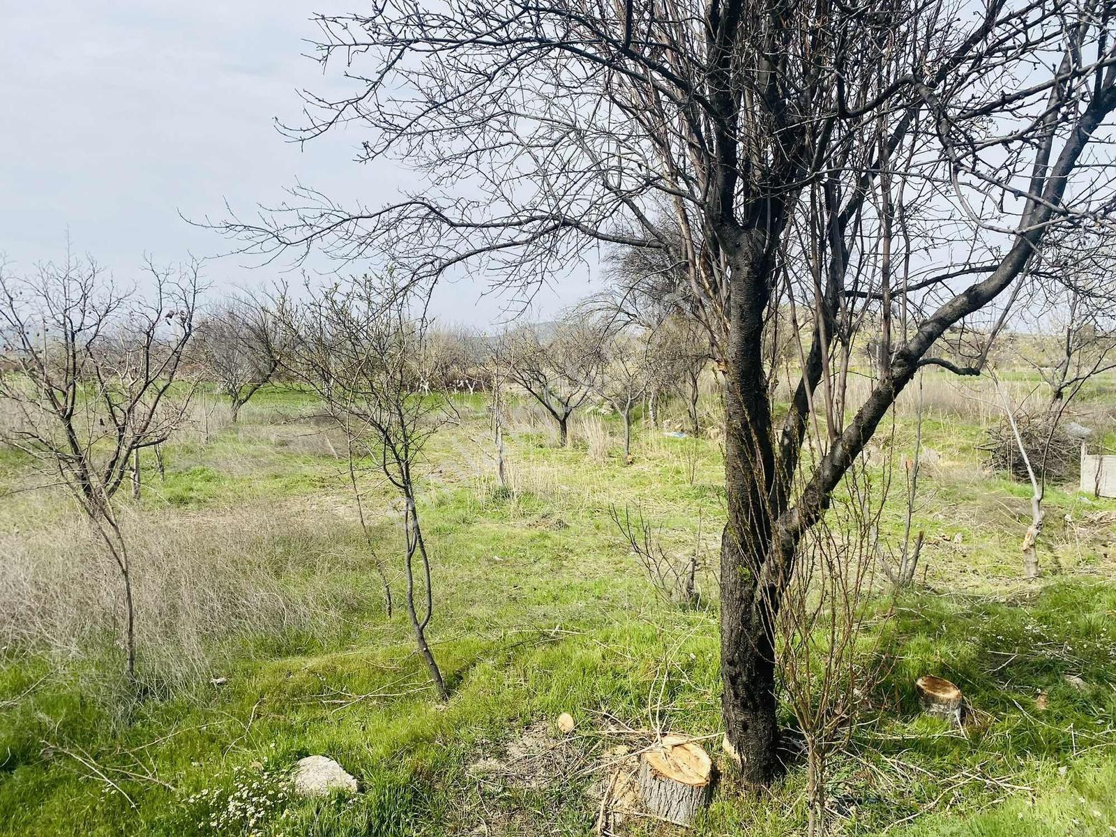 Kısa Süreliğine! Pazarlık Yok ! Tek Ve Son Fiyat.... - Görsel 13