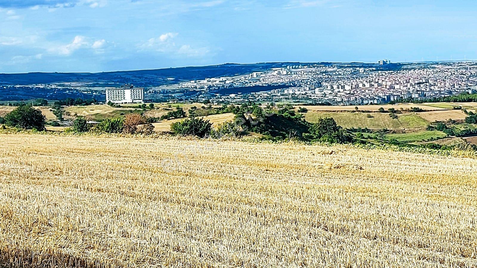 Deniz Doğa Ve Şehir Manzaralı Yatırım Fırsatı 16.200 M2 Kelepir Fırsat Villa İmarlı Arazi - Görsel 8