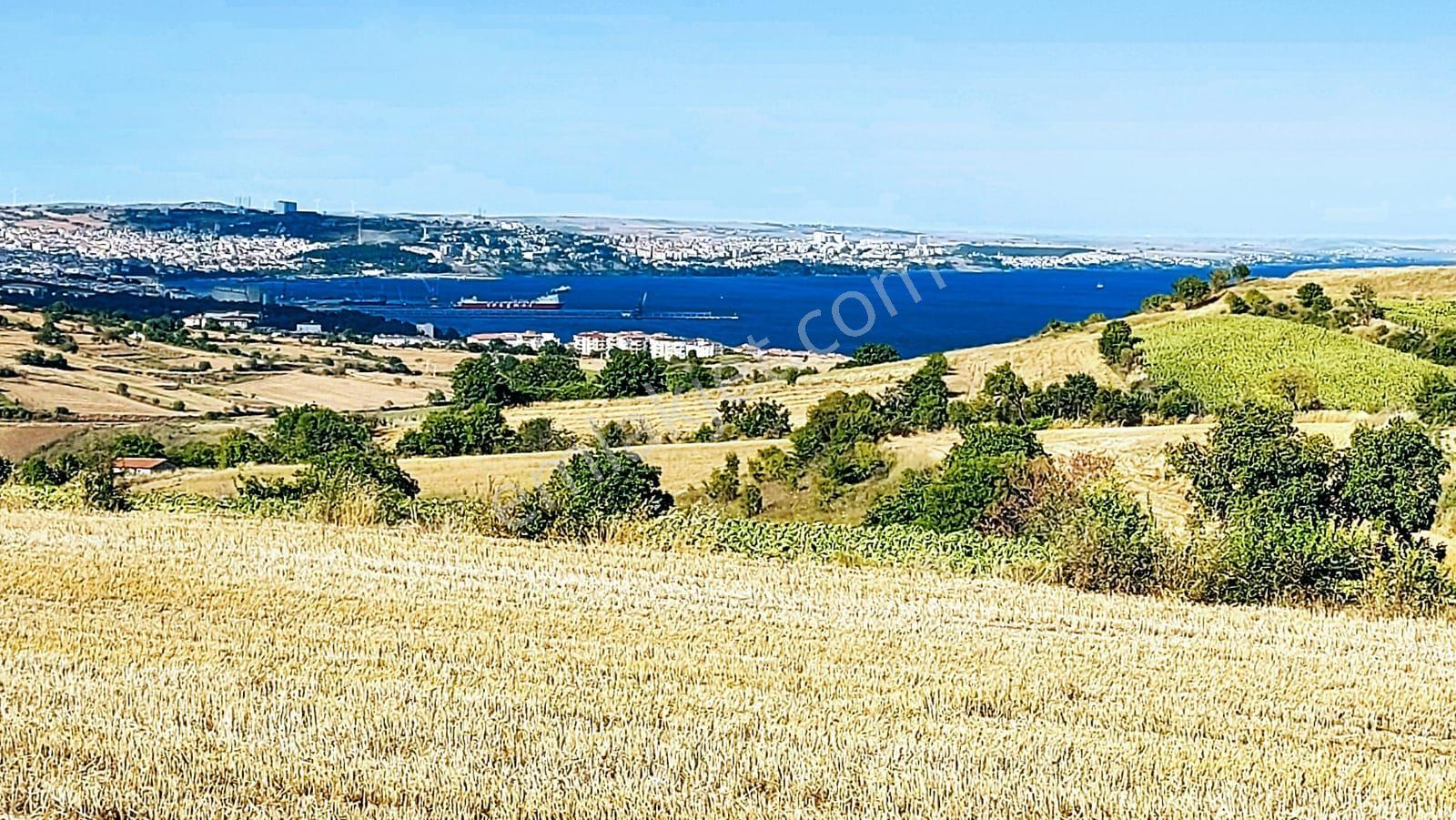Deniz Doğa Ve Şehir Manzaralı Yatırım Fırsatı 16.200 M2 Kelepir Fırsat Villa İmarlı Arazi - Görsel 10