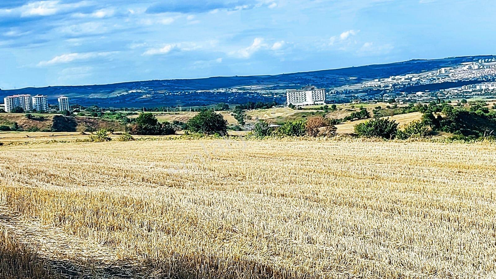 Deniz Doğa Ve Şehir Manzaralı Yatırım Fırsatı 16.200 M2 Kelepir Fırsat Villa İmarlı Arazi - Görsel 6