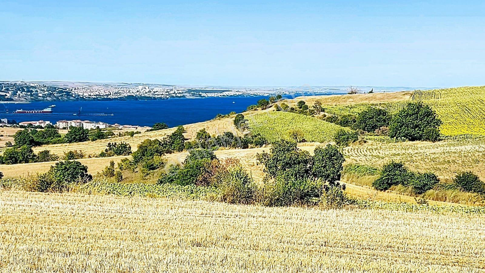 Deniz Doğa Ve Şehir Manzaralı Yatırım Fırsatı 16.200 M2 Kelepir Fırsat Villa İmarlı Arazi - Görsel 9