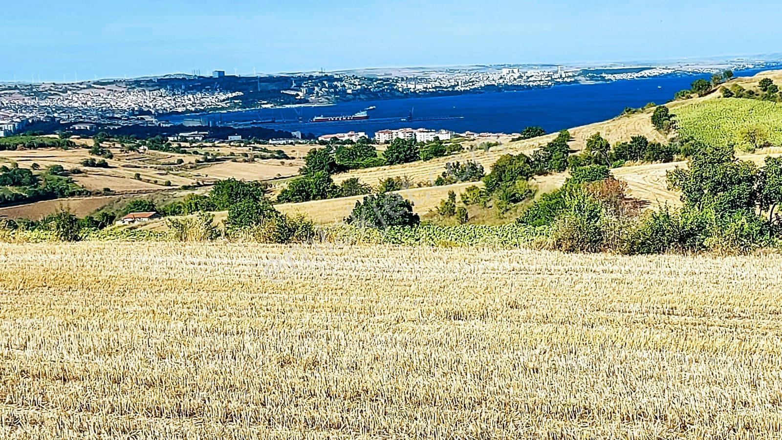 Deniz Doğa Ve Şehir Manzaralı Yatırım Fırsatı 16.200 M2 Kelepir Fırsat Villa İmarlı Arazi - Görsel 4