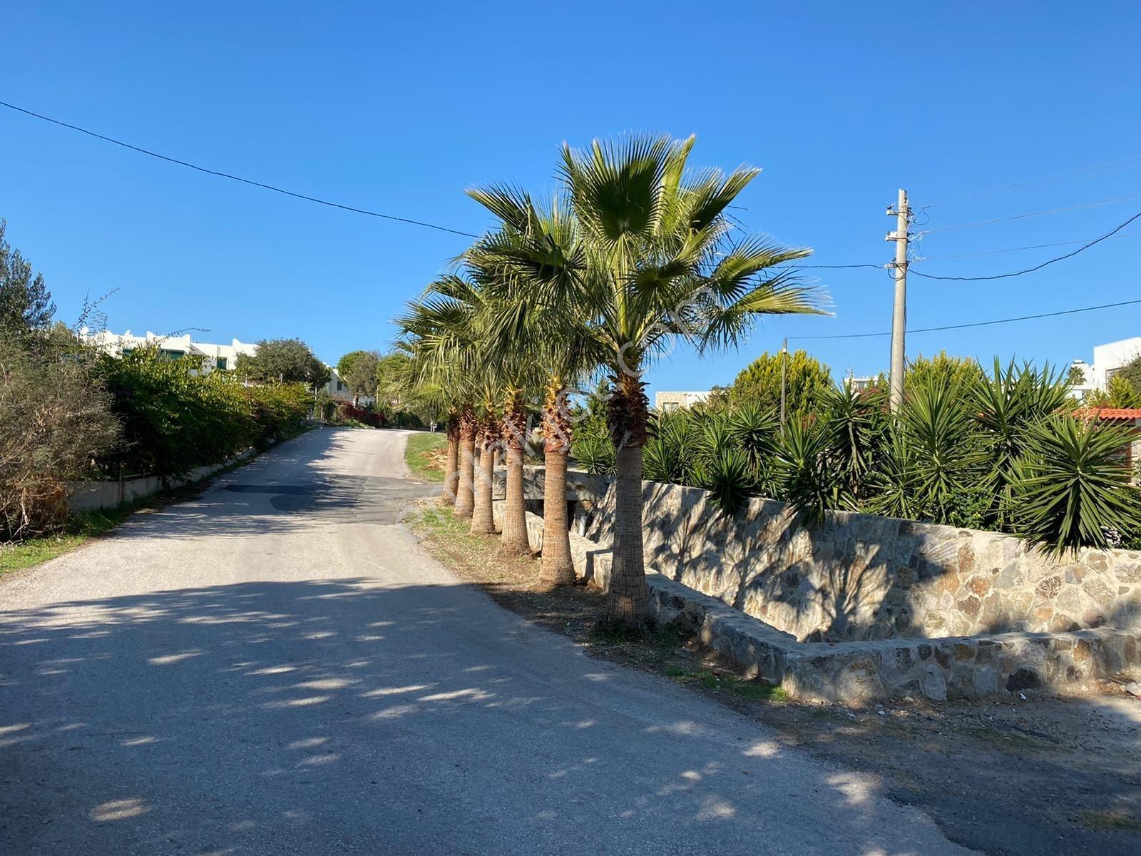 Bodrum Ortakent Yahşi'de 4+1 Tek Katlı Müstakil Havuzlu Villa - Görsel 6