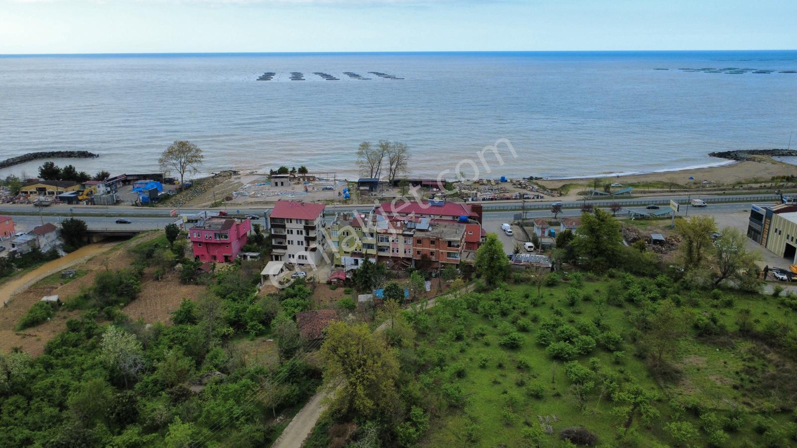 Trabzon Arsin'de Satılık 5 Kat İmarlı Arsa