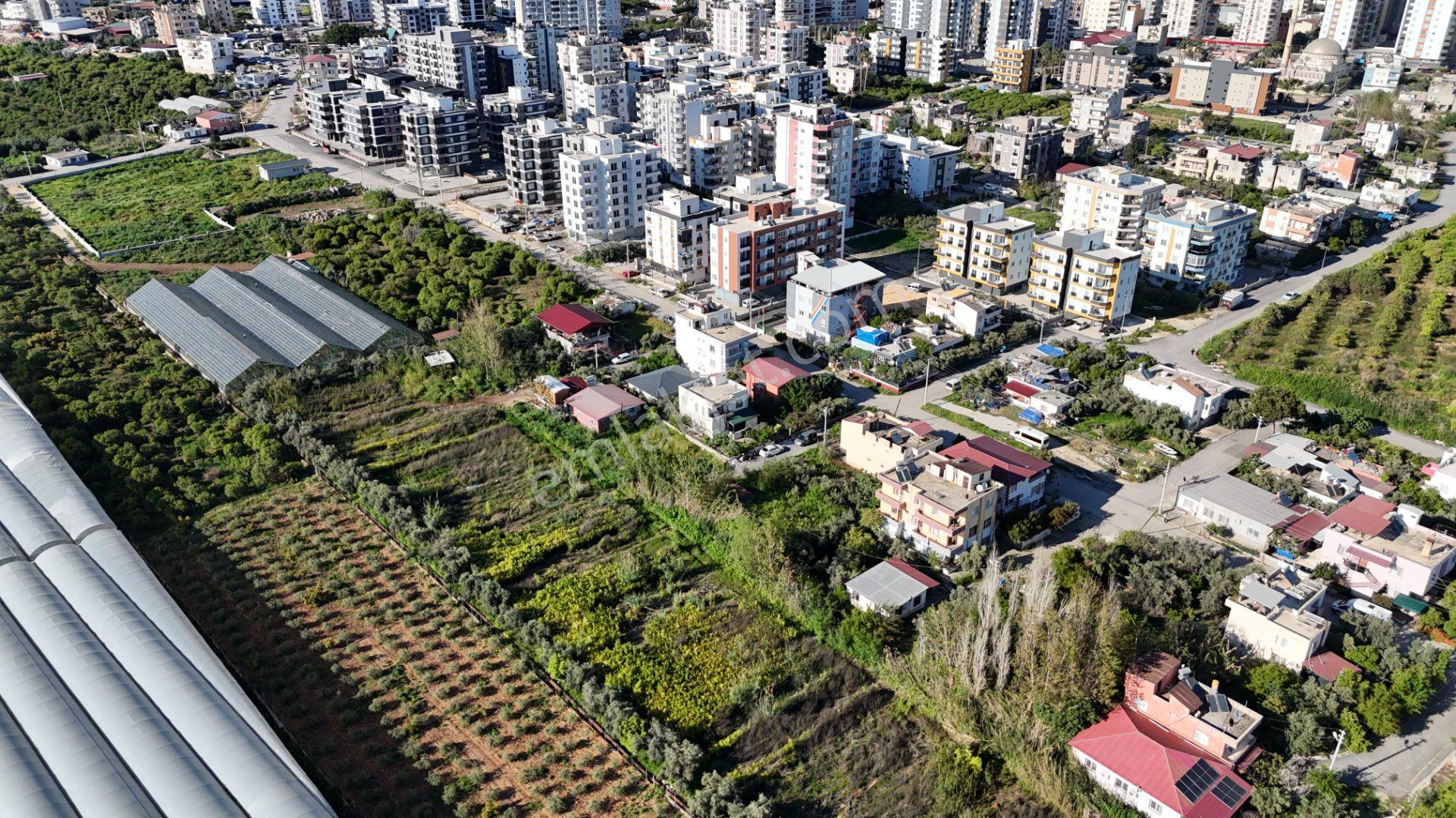 Mersın Erdemli Koyuncu Mah. Ev Yapına Uygun Satılık 624 M2 Arsa - Görsel 9