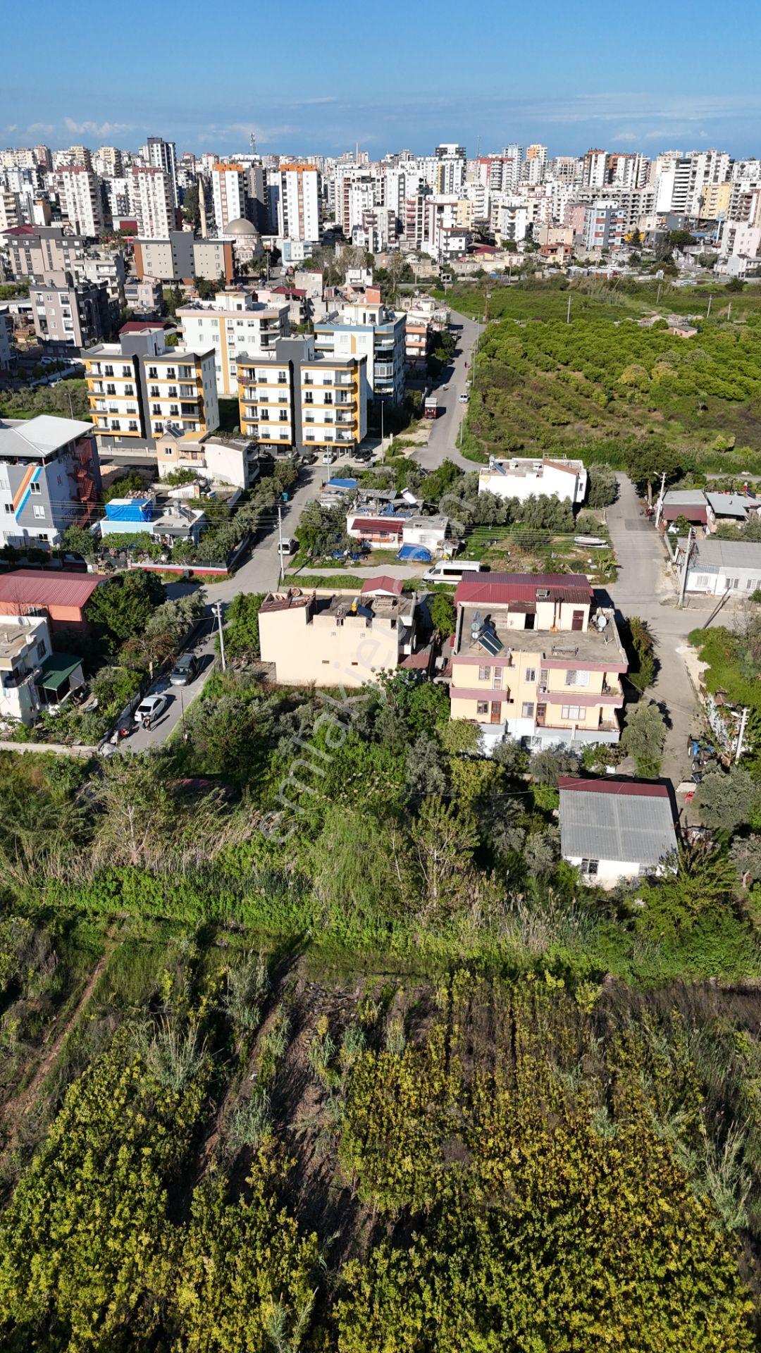 Mersın Erdemli Koyuncu Mah. Ev Yapına Uygun Satılık 624 M2 Arsa - Görsel 26