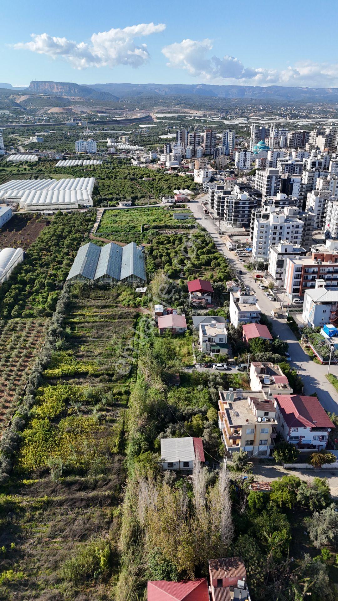 Mersın Erdemli Koyuncu Mah. Ev Yapına Uygun Satılık 624 M2 Arsa - Görsel 32