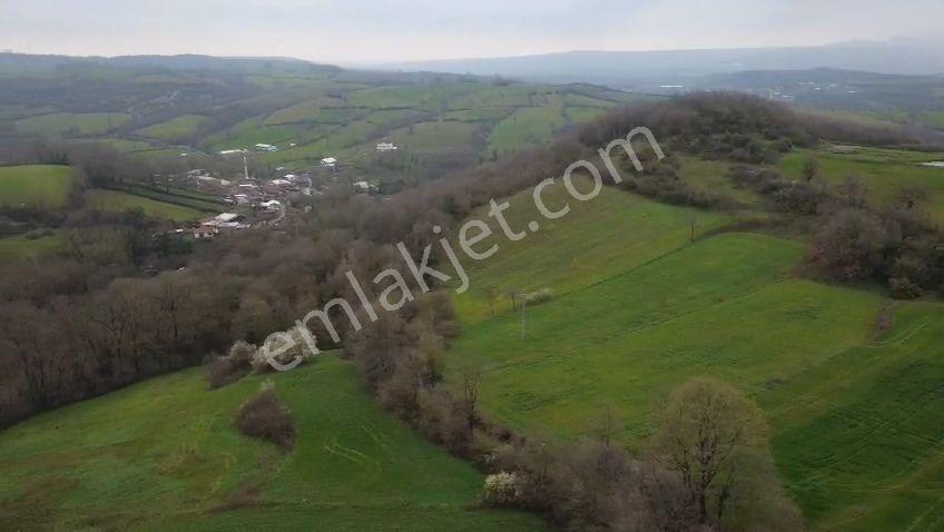 Bahariye Resmi Yola Cephe Satılık Arazi Araç Takaslı - Görsel 6