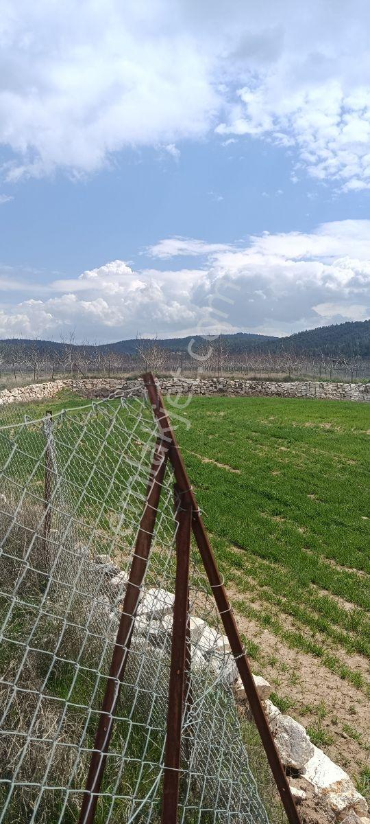 Denizli Bozkurt Ali Kurt Satılık Tarla - Görsel 3