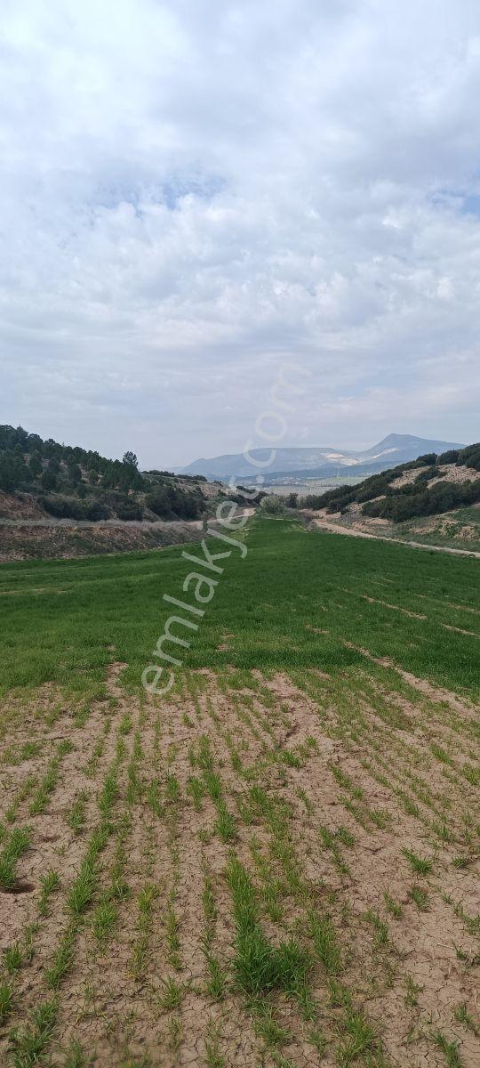 Denizli Bozkurt Ali Kurt Satılık Tarla - Görsel 8