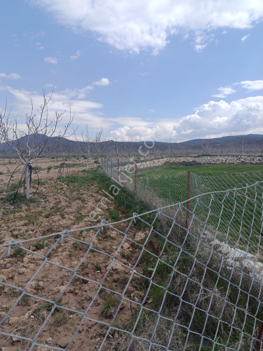 Denizli Bozkurt Ali Kurt Satılık Tarla - Görsel 7