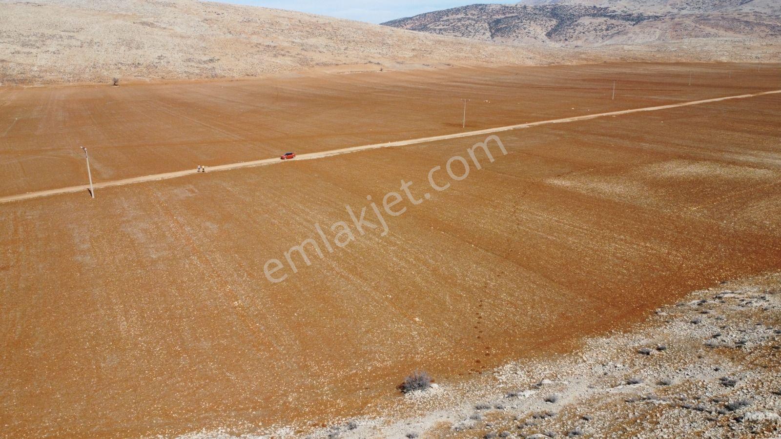 Kadastro Yolu Olan Bölgede Bu Fiyata Yer Yok !!! - Görsel 3
