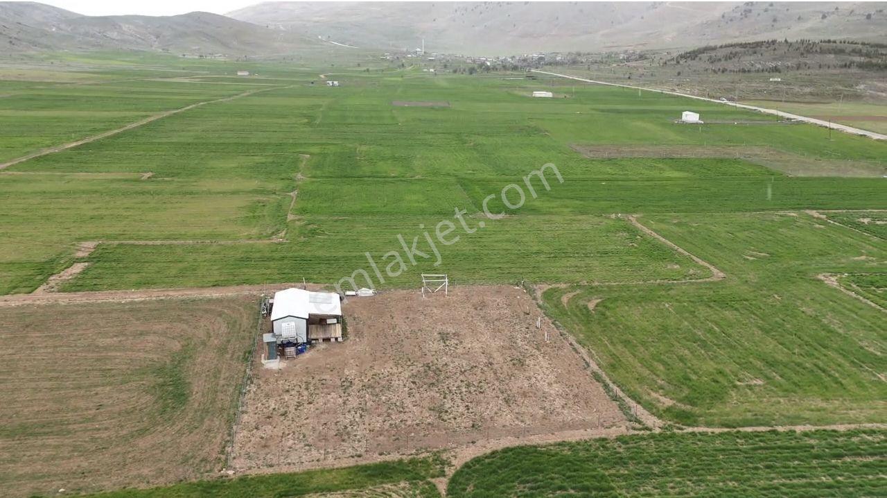 Han Gayrimenkul'den Beğiş Yayla Da Muhteşem Tarla - Görsel 6