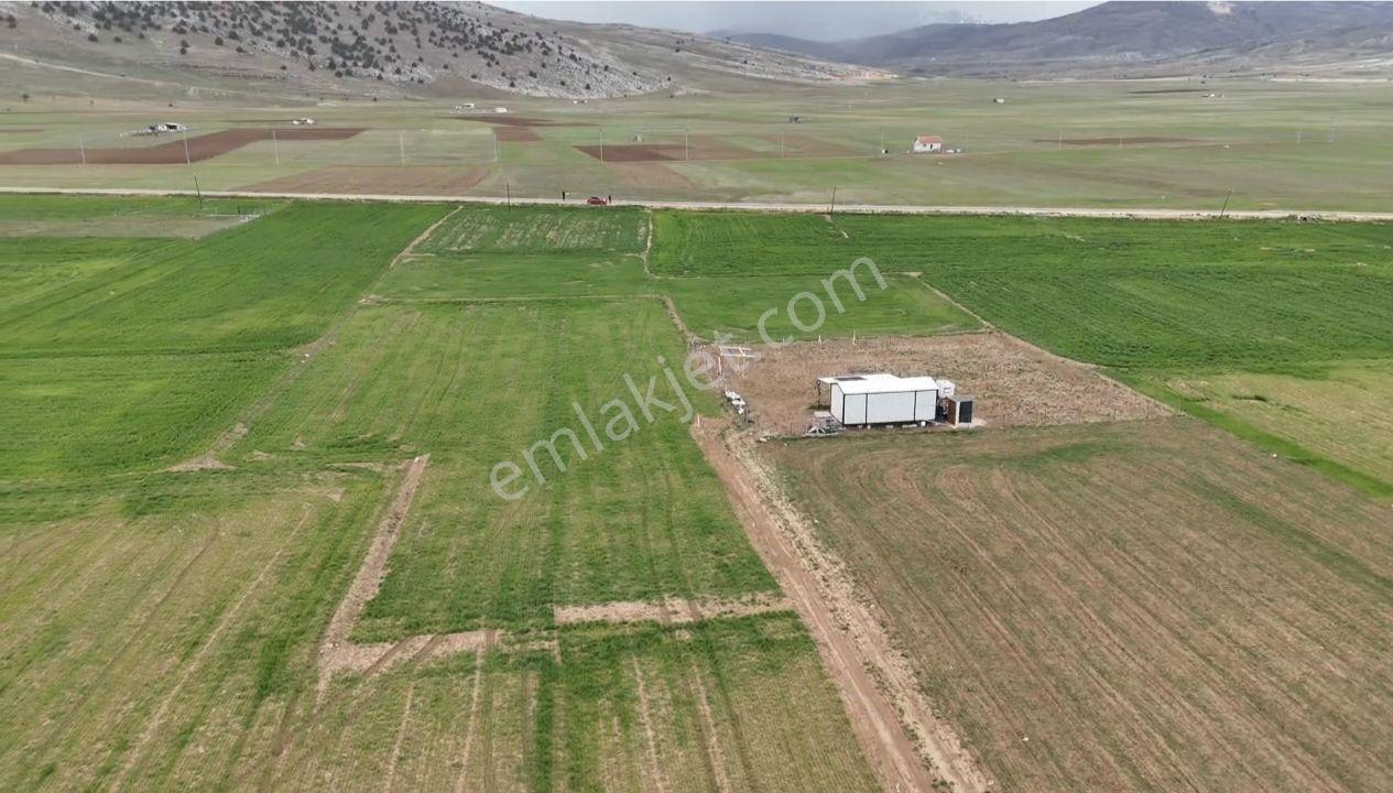 Han Gayrimenkul'den Beğiş Yayla Da Muhteşem Tarla - Görsel 4