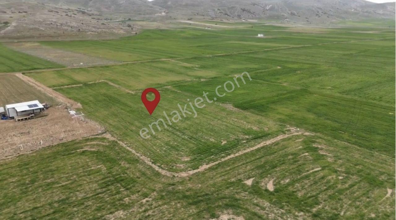Han Gayrimenkul'den Beğiş Yayla Da Muhteşem Tarla - Görsel 8
