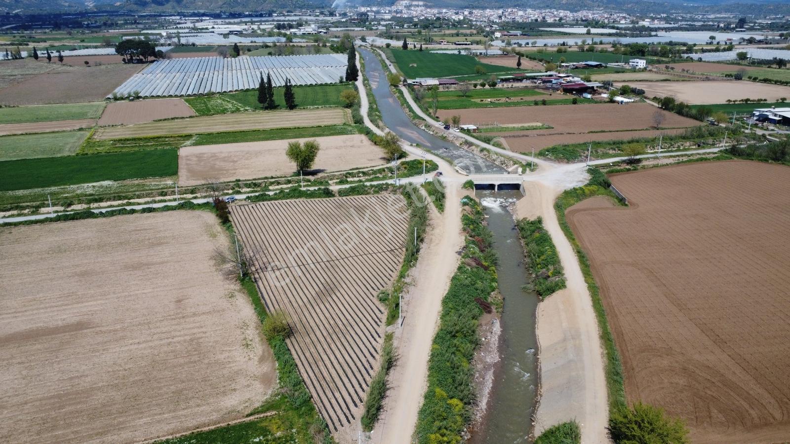 Aydın Köşk İlçesinin 1,5 Km Altında Tek Tapu Tarla - Görsel 7