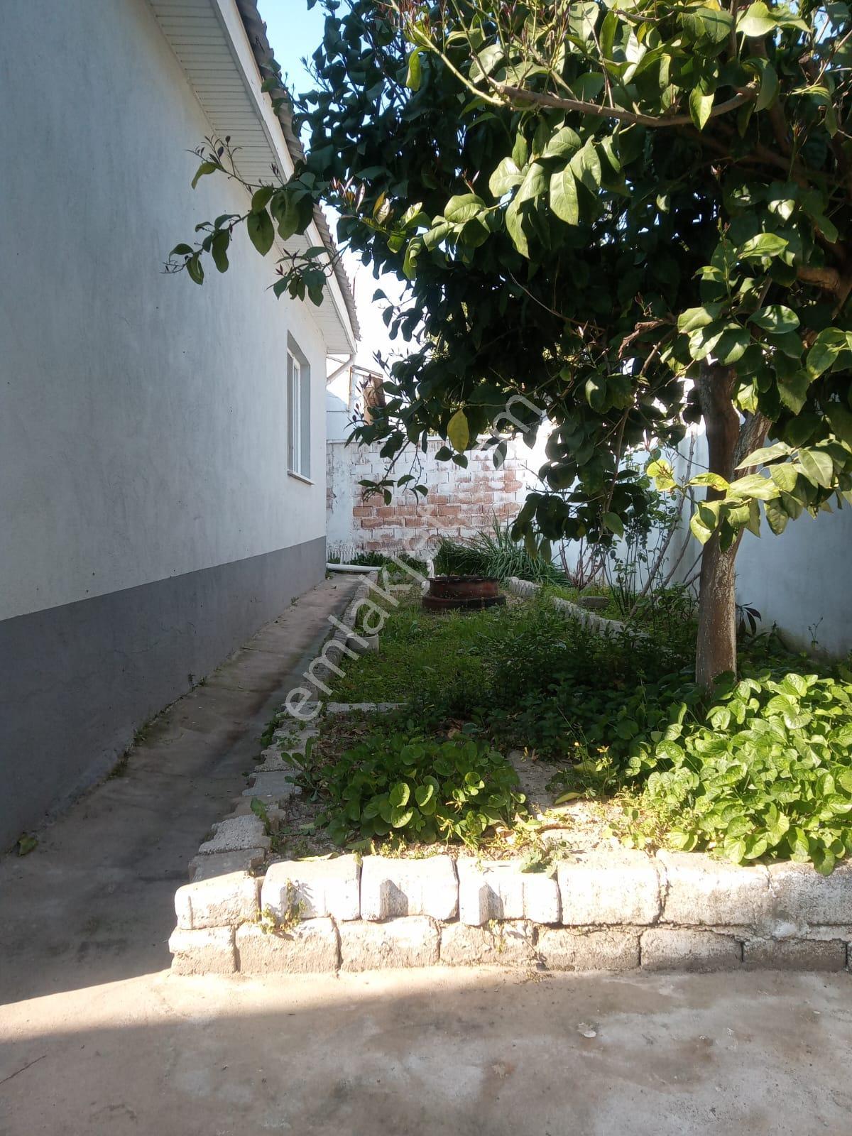 Umurluda Müstakil Ev - Görsel 22