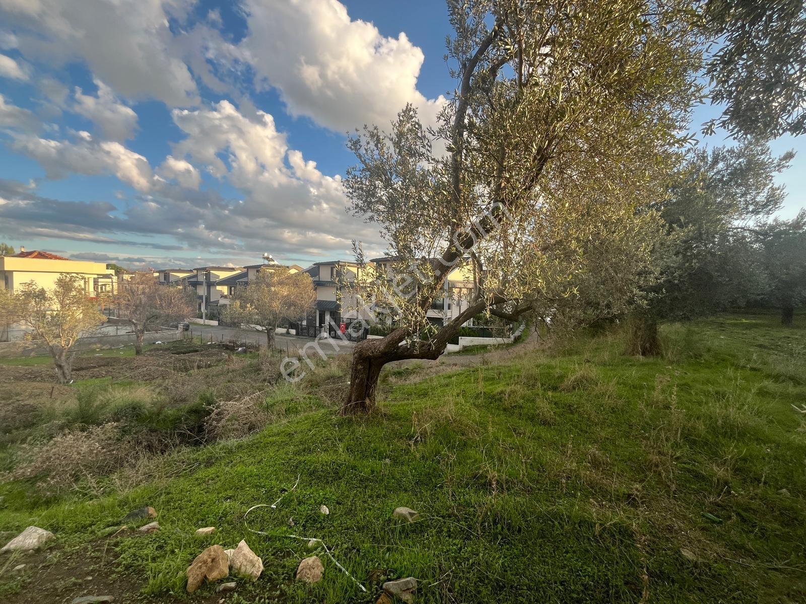 Kavuşturan Emlak'tan Güre Oteller Bölgesin'd 475 M2 Satılık Arsa - Görsel 19