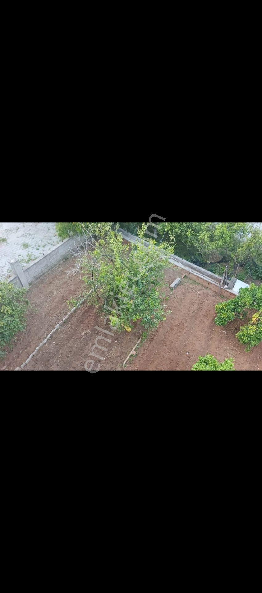 Stop'tan 22 Metrelik Yol Yanında Satılık Tadilatlı 3+1 - Görsel 15