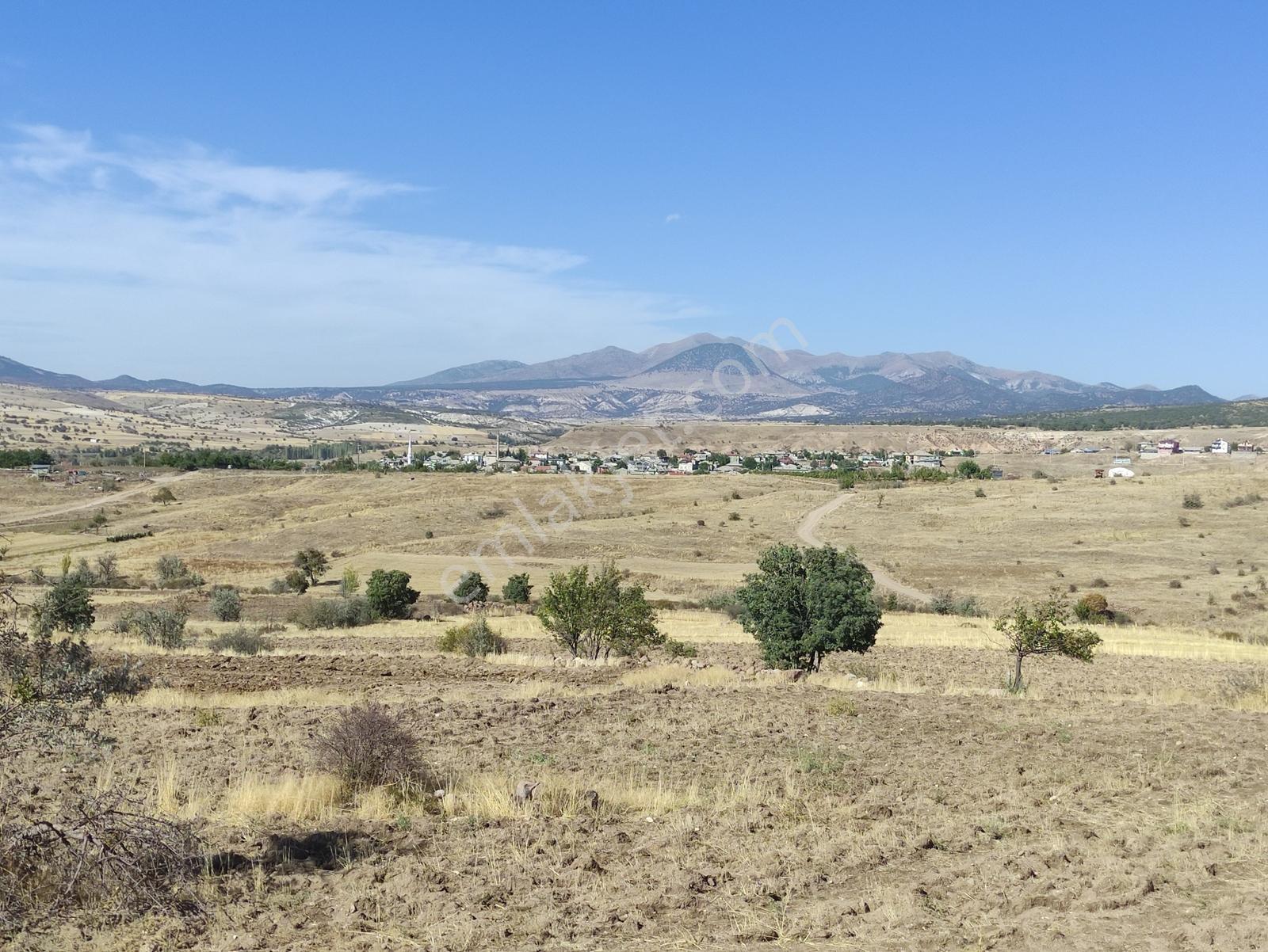 Özpınar,dan Çavuş Köyü Suyu,yolu Olan Tarla 4400 M2 Köye 1 Km. - Görsel 15