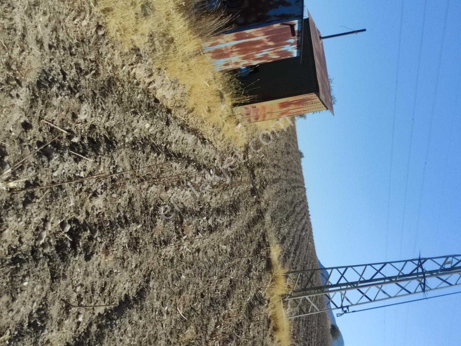 Özpınar,dan Çavuş Köyü Suyu,yolu Olan Tarla 4400 M2 Köye 1 Km. - Görsel 8