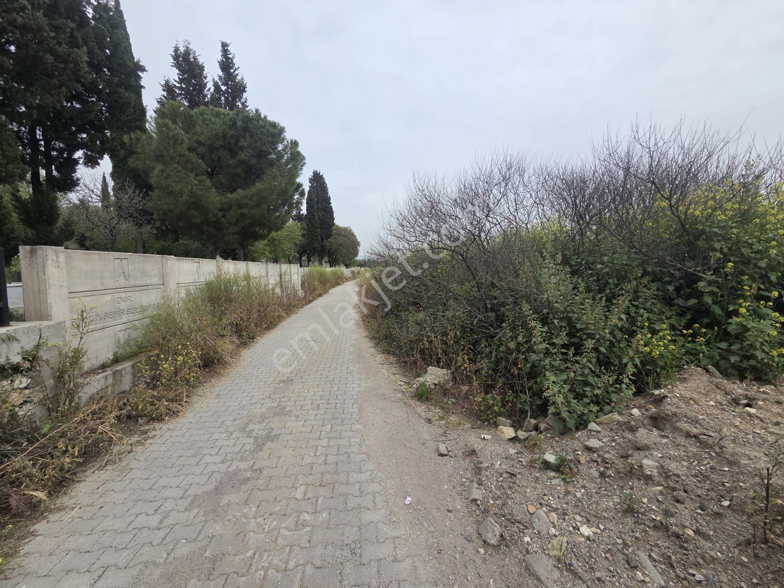 Foça Ilıpınar'da Anayola Yakın 10202 M2 Yatırımlık Satılık Tarla - Görsel 11