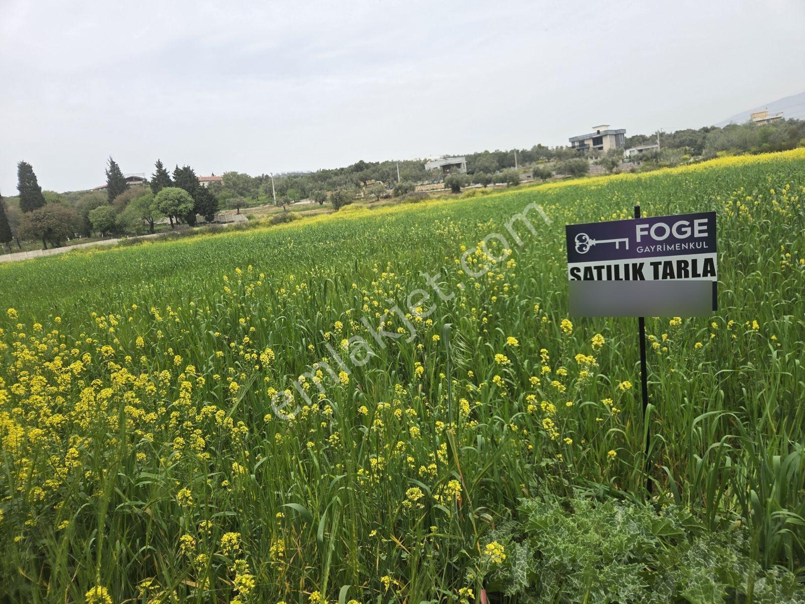 Foça Ilıpınar'da Anayola Yakın 10202 M2 Yatırımlık Satılık Tarla - Görsel 9