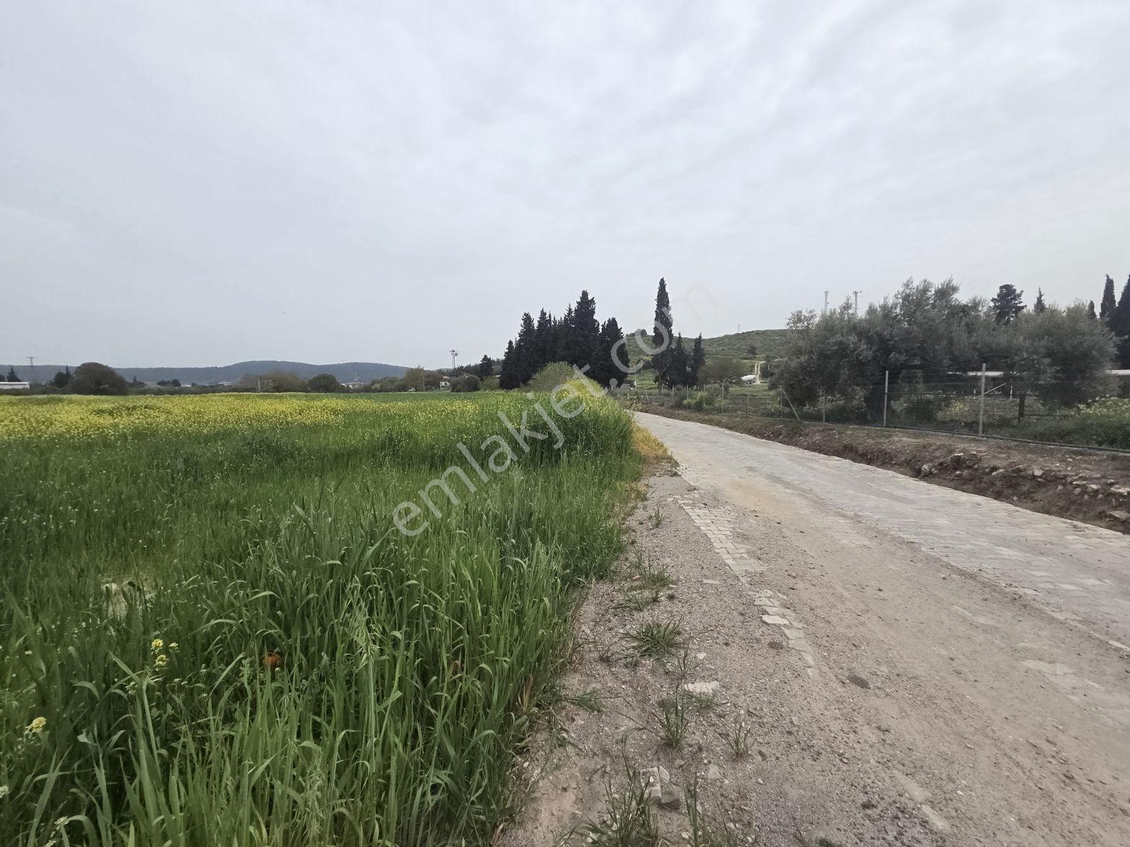 Foça Ilıpınar'da Anayola Yakın 10202 M2 Yatırımlık Satılık Tarla - Görsel 22