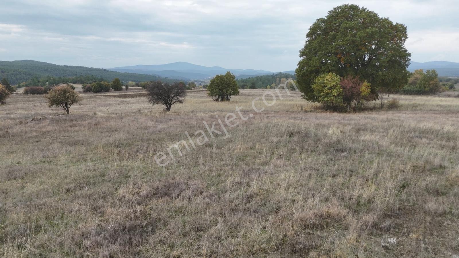 Acil | 14.720 M² Geniş Tarla | Manzaralı | Köye Dibi |kupon Arsa - Görsel 22