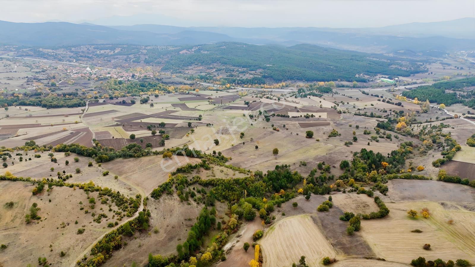 Acil | 14.720 M² Geniş Tarla | Manzaralı | Köye Dibi |kupon Arsa - Görsel 26