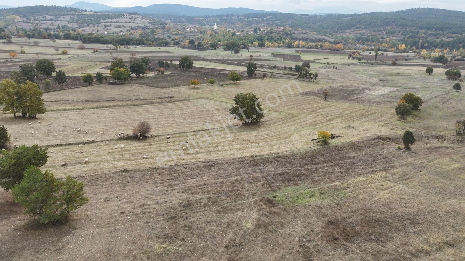 Acil | 14.720 M² Geniş Tarla | Manzaralı | Köye Dibi |kupon Arsa - Görsel 12