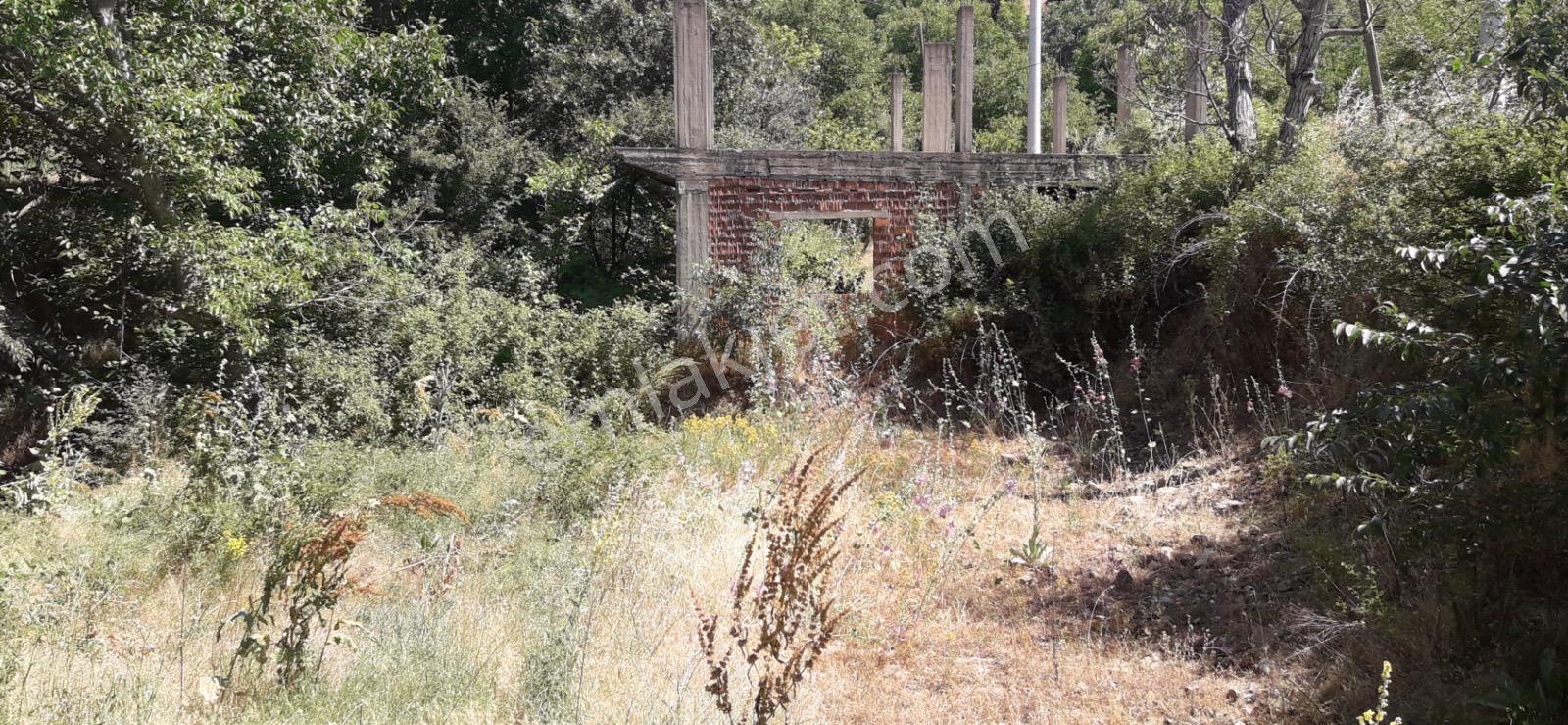 🏡 Göl-san Gayrimenkul’den 🏡 Kuşçular Köyünde Yol Cepheli Satılık Tarla !!! - Görsel 4