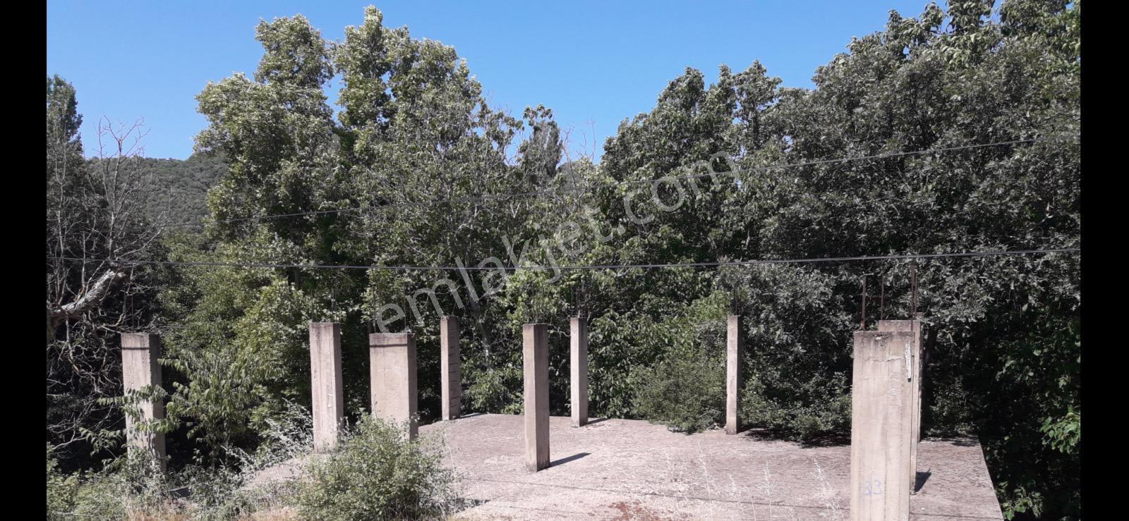 🏡 Göl-san Gayrimenkul’den 🏡 Kuşçular Köyünde Yol Cepheli Satılık Tarla !!! - Görsel 3