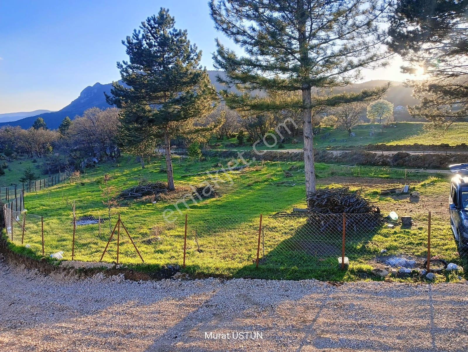Safranbolu Aşağıdana Köyü' Nde 2674 M2 Satılık Tarla - Görsel 3
