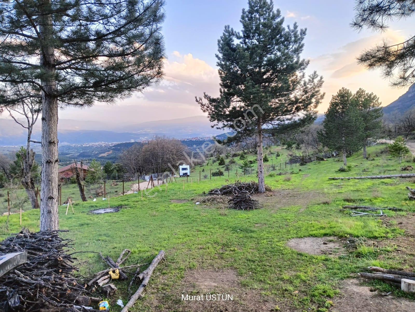 Safranbolu Aşağıdana Köyü' Nde 2674 M2 Satılık Tarla - Görsel 4