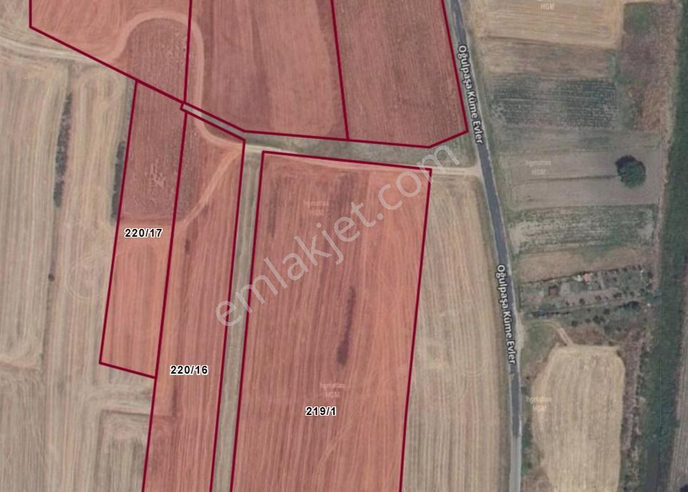 Satılık Havsa'da E5'e 2. Parsel Yolu Olan 3.846 M² Tarla
