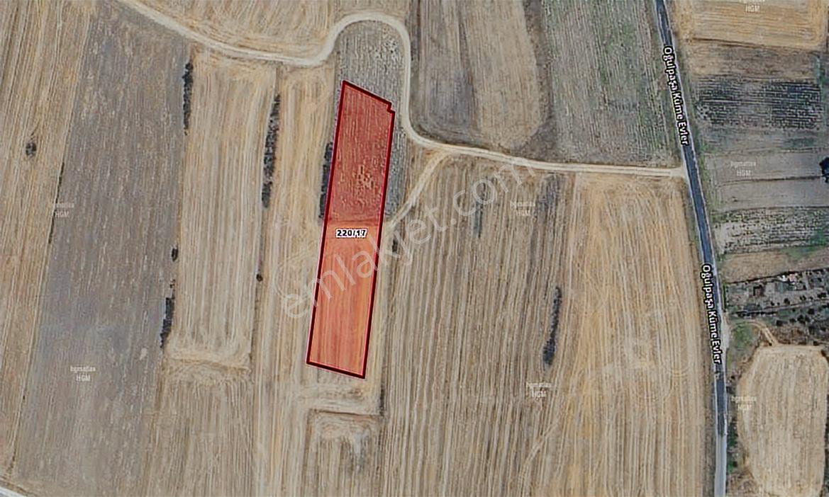 Satılık Havsa'da E5'e 2. Parsel Yolu Olan 3.846 M² Tarla - Görsel 2