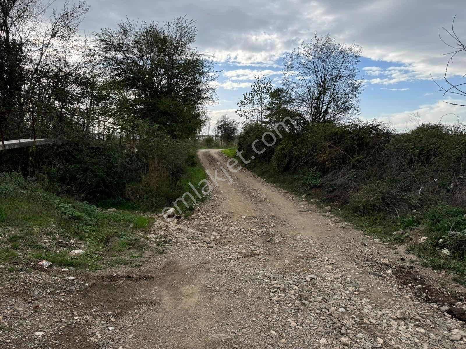 Pazaryeri Org.san. Karşısı Tarla(elk Vesu Abonelikmevcut) - Görsel 8