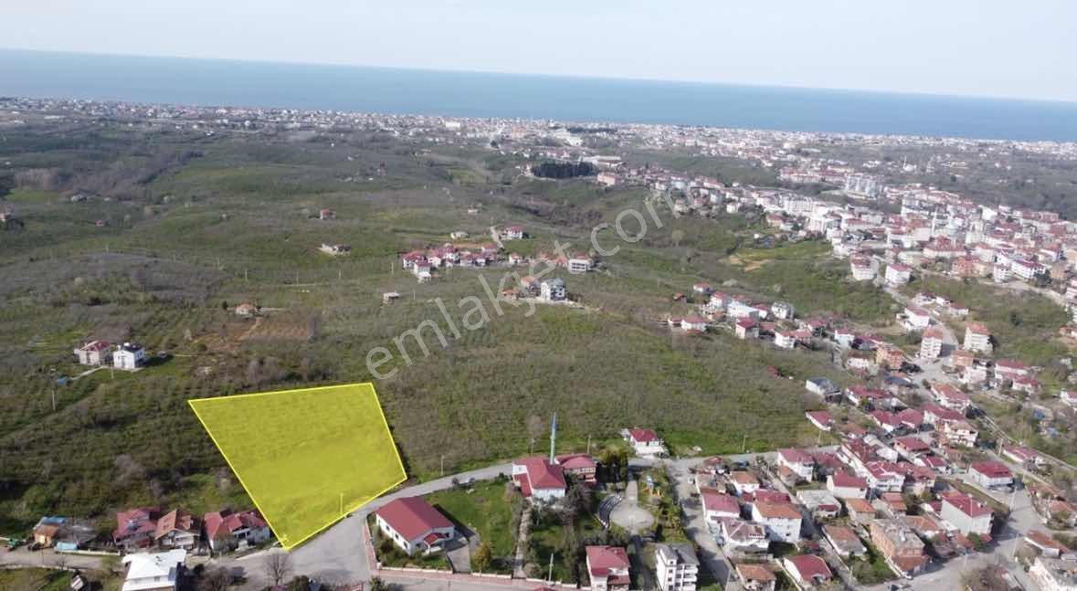 Kocaali Karşı Mahallede Deniz Manzaralı Arsa - Görsel 3