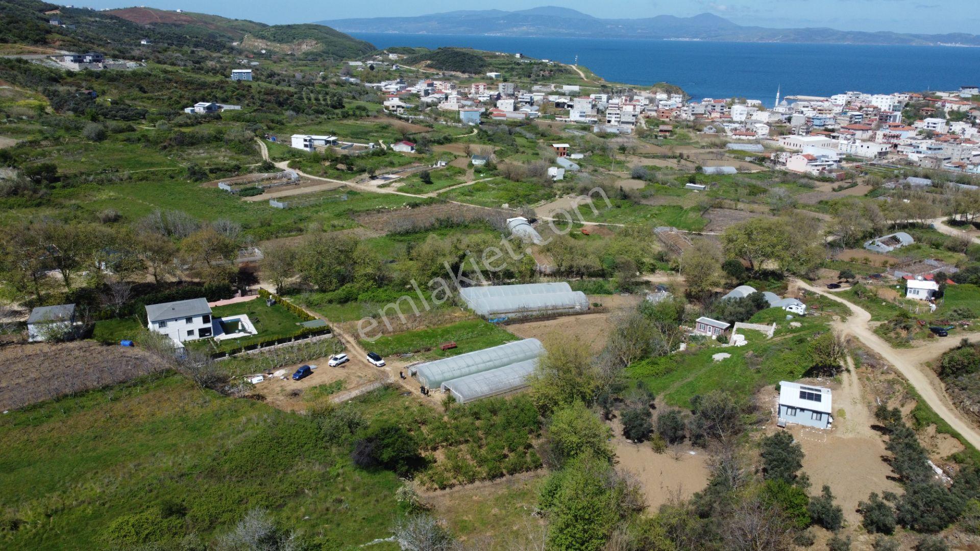 Lıon Emlak'tan Sahil Yenice'de Köye Yakın Fırsat Tarla - Görsel 14