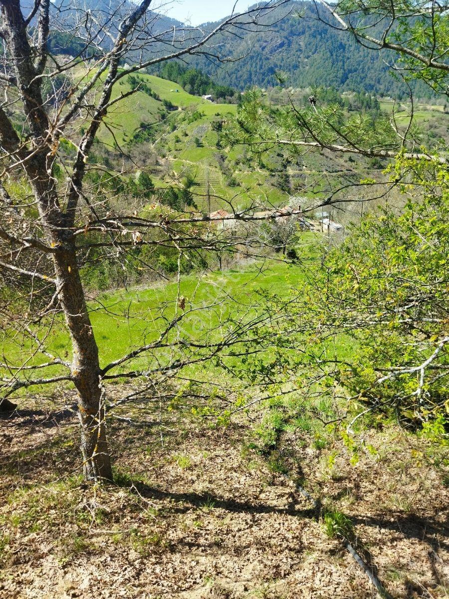 Orhaneli Göynükbelen'de Satılık 4.018 M2 Tarla - Görsel 2