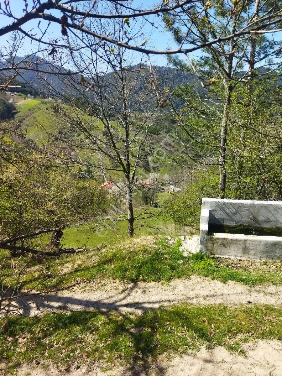 Orhaneli Göynükbelen'de Satılık 4.018 M2 Tarla - Görsel 7