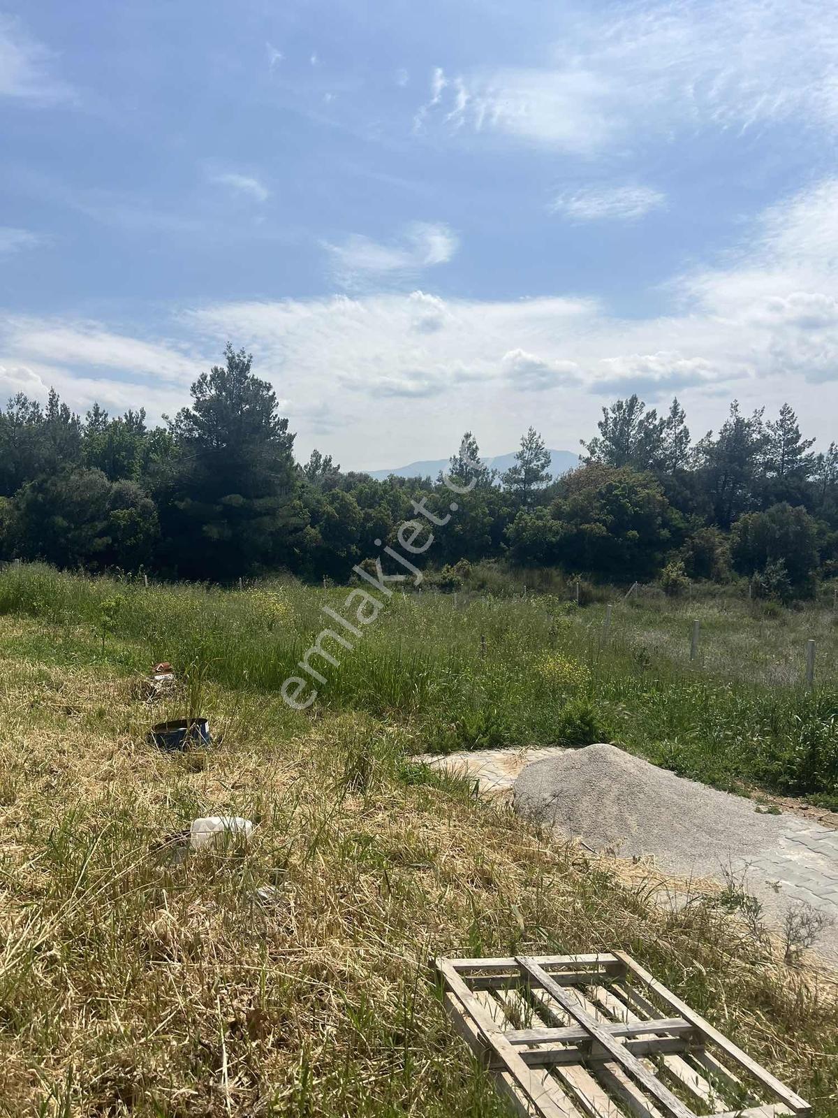 İzmir Kemalpaşa Çambelde Yatırımlık Fırsat 538 M² Arsa - Görsel 6