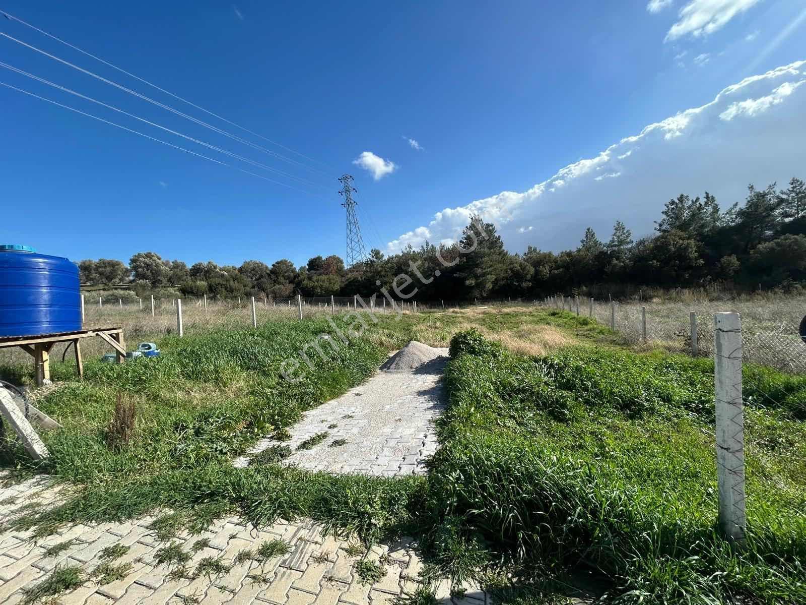 İzmir Kemalpaşa Çambelde Yatırımlık Fırsat 538 M² Arsa - Görsel 3
