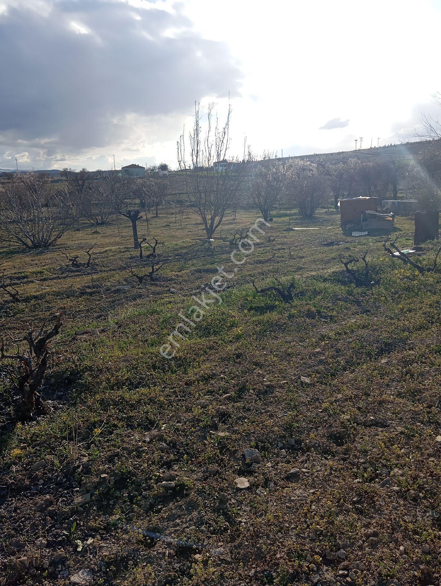 Sarıyakupta Hazır 1+1 Evi Bulunan Bahöe - Görsel 17