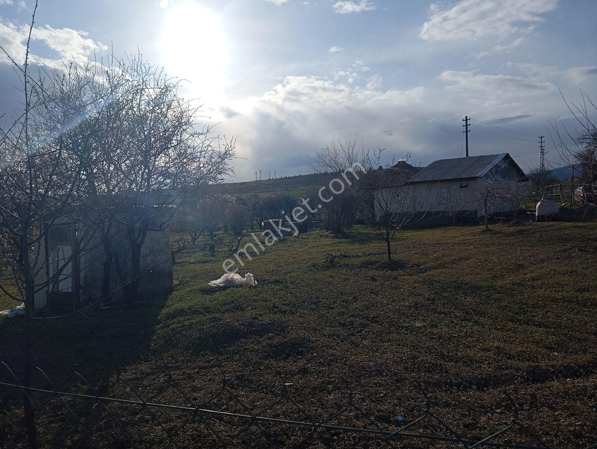 Sarıyakupta Hazır 1+1 Evi Bulunan Bahöe - Görsel 28